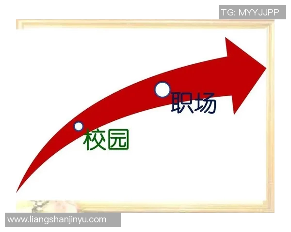 何思雨的成长之路：从校园到职场的蜕变与探索